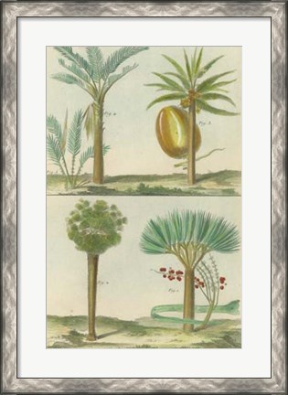 Framed Histoire Naturelle Tropicals I Print