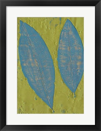 Framed Tropicale II Print