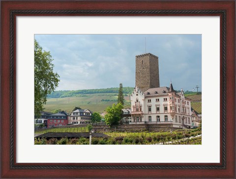 Framed Carl Jung Vineyard, Boosenburg Castle Print