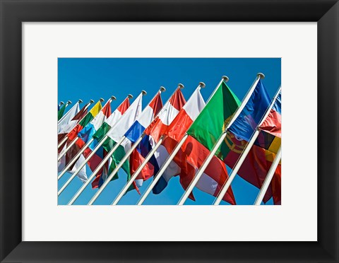 Framed International Flags Print