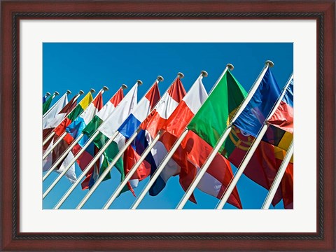 Framed International Flags Print