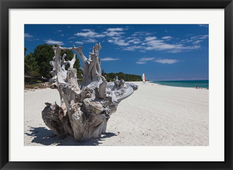 Framed Town Beach Driftwood in Ghisonaccia Print