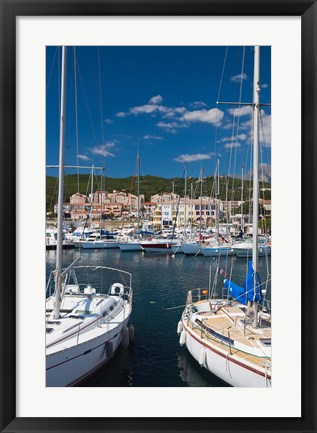 Framed Seashell Coast, Solenzara Print