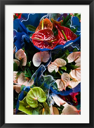 Framed Flamingo Flower, Seafront Market Print