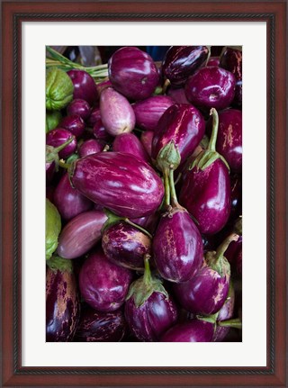 Framed Purple Eggplant, Seafront Market Print