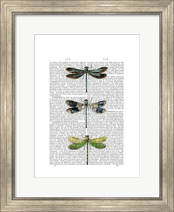 Framed Dragonflies Print 2 Print