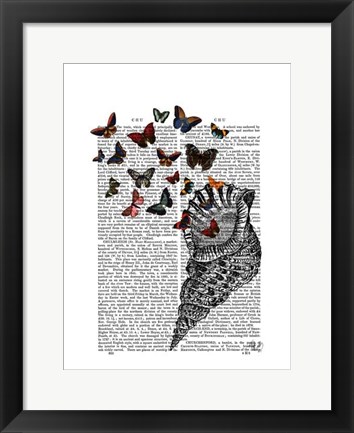 Framed Conch Shell and Butterflies Print
