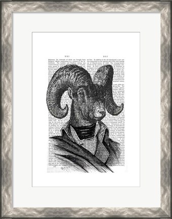 Framed Mountain Goat Portrait Print