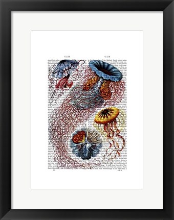 Framed Sea Anemone Print