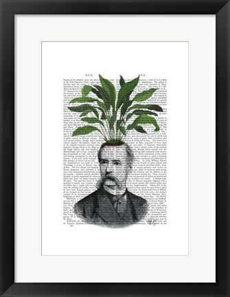 Framed Aspidistra Head Plant Head Print