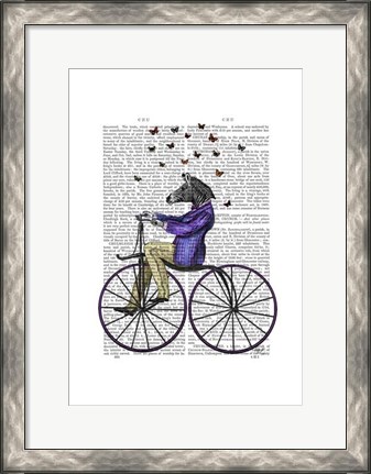 Framed Zebra On Bicycle Print