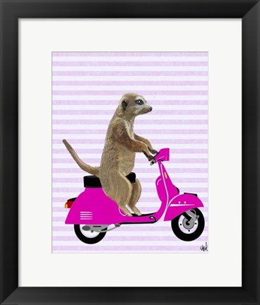 Framed Meerkat on Pink Moped Print