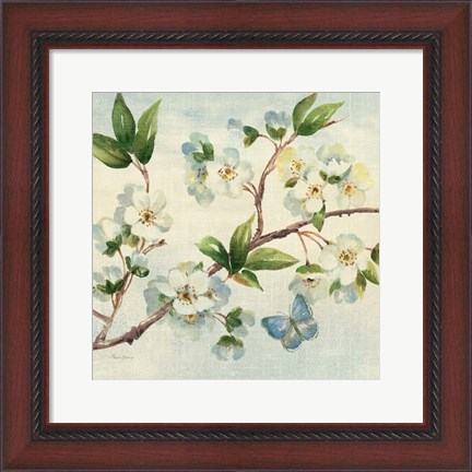 Framed Cherry Bloom II Print