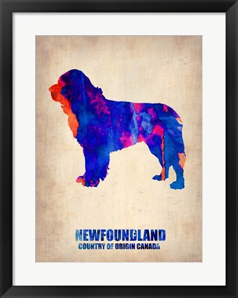 Framed Newfoundland 2 Print