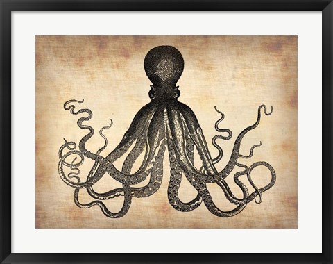 Framed Vintage Octopus Print