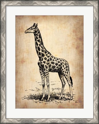 Framed Vintage Giraffe Print