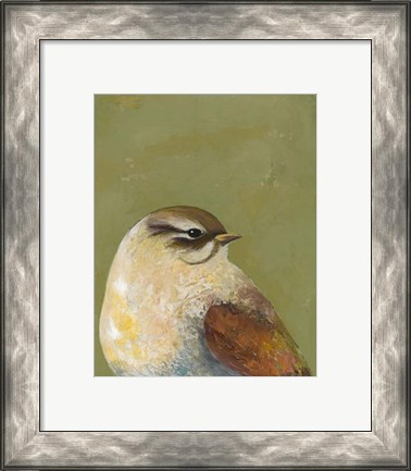 Framed Bird Portrait I Print