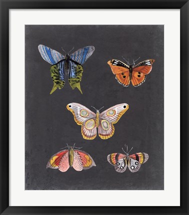 Framed Butterflies on Slate II Print
