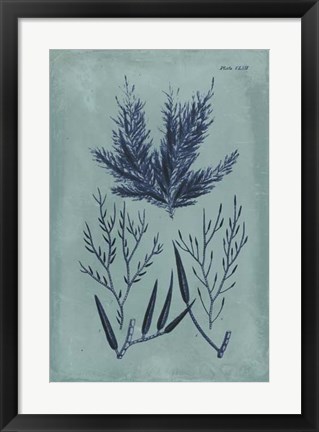 Framed Indigo &amp; Azure Seaweed I Print