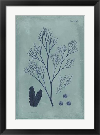 Framed Indigo &amp; Azure Seaweed V Print