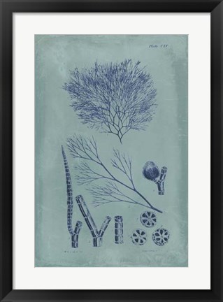 Framed Indigo &amp; Azure Seaweed VI Print