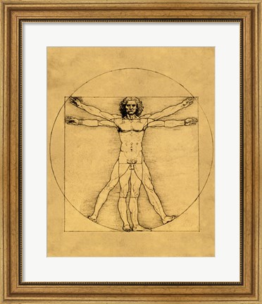 Framed Proportions of the Human Figure - Vitruvian Man Print