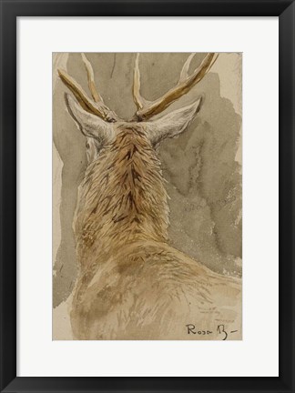 Framed Study of a Deer Print