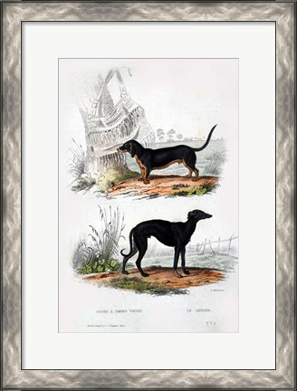 Framed Pair of Dogs III Print