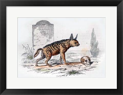 Framed Hyena I Print