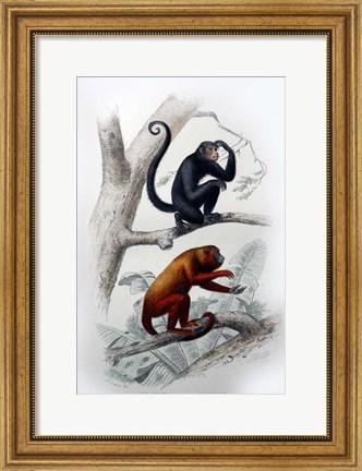 Framed Pair of Monkeys VIII Print
