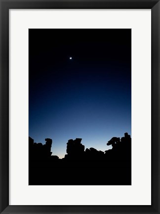 Framed Quiver Tree Forest at Night, Namibia Print