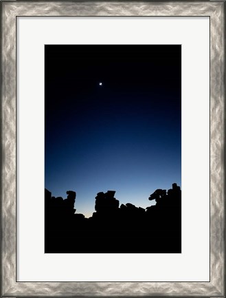 Framed Quiver Tree Forest at Night, Namibia Print