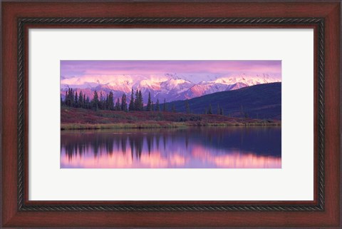 Framed Alaska Denali National Park Print