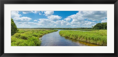 Framed Myakka River State Park, Sarasota, Florida Print