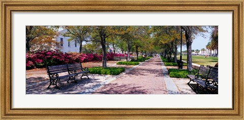 Framed Waterfront Park in Charleston, SC Print