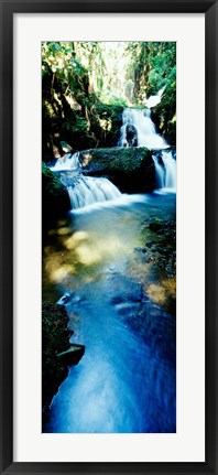 Framed Waterfall in Hilo, HI Print