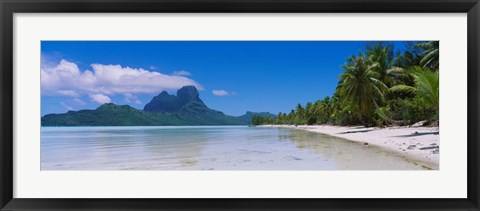 Framed Palm Trees in Bora Bora, French Polynesia Print