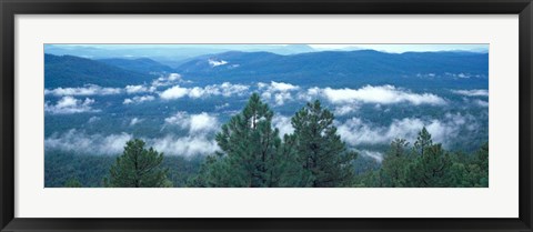Framed Tonto National Forest, AZ Print