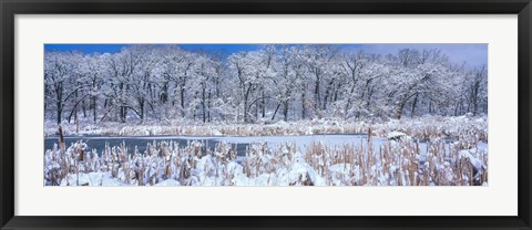 Framed Winter in Illinois Print