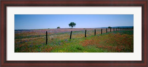 Framed Wildflower Field, Texas Print