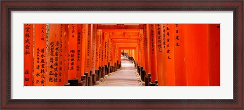 Framed Tunnel of Torii Gates, Fushimi Inari Shrine, Japan Print