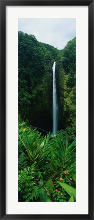 Framed Akaka Falls Print