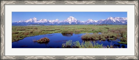 Framed Grand Teton Park, Wyoming (color) Print
