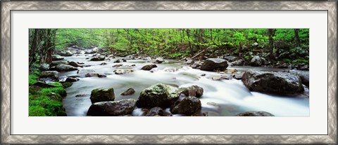 Framed Great Smoky Mountains, Tennessee Print