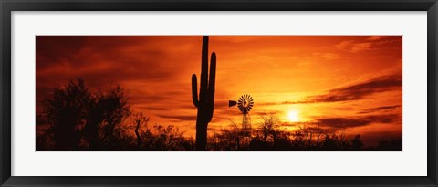 Framed Sonoran Desert Sunset, Arizona Print