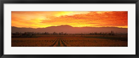 Framed Sunset over Napa Valley Print