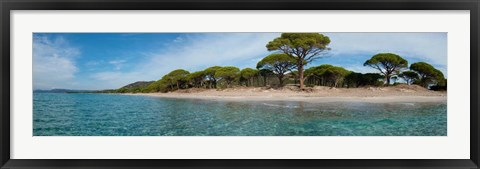 Framed Palombaggia Beach, Corsica, France Print