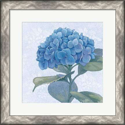 Framed Blue Hydrangea IV Crop Print