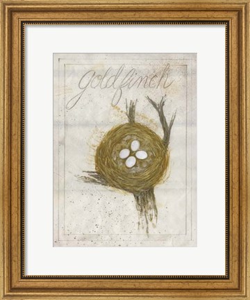 Framed Nest - Goldfinch Print