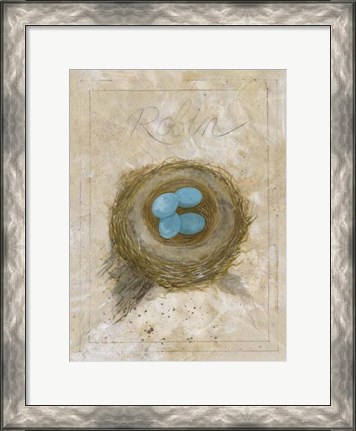Framed Nest - Robin Print